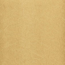 Панель ПВХ (атепан) VIVALDI, 2700х250x8 Золотой пергамент